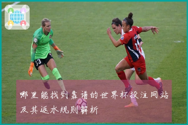 哪里能找到靠谱的世界杯投注网站及其返水规则解析