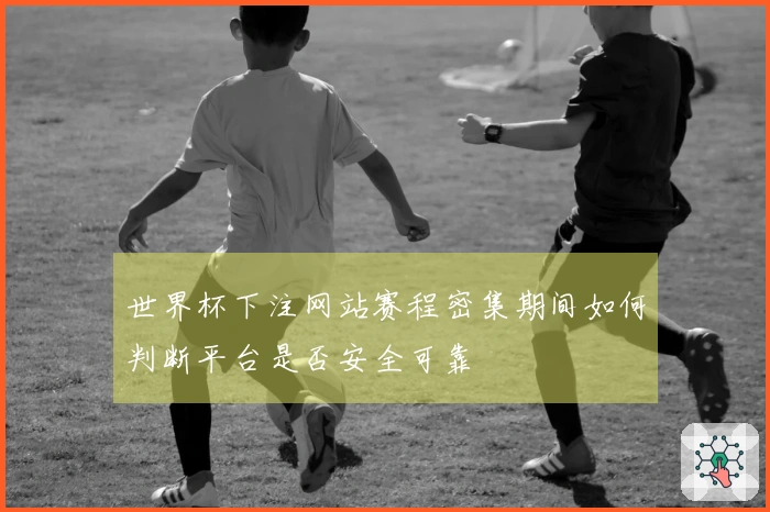 世界杯下注网站赛程密集期间如何判断平台是否安全可靠