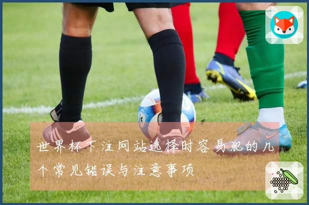 世界杯下注网站选择时容易犯的几个常见错误与注意事项