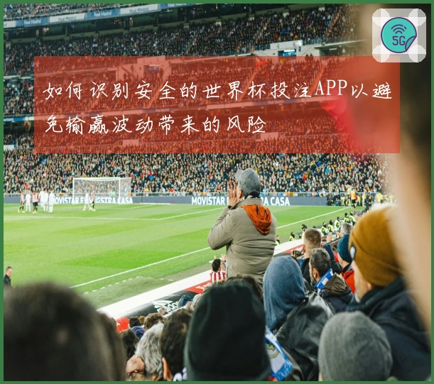 如何识别安全的世界杯投注APP以避免输赢波动带来的风险