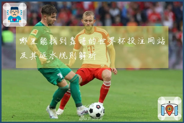 哪里能找到靠谱的世界杯投注网站及其返水规则解析